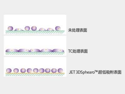 超低吸附表面具有共價結合的水凝膠層，具有極強的抗蛋白吸附性和抗細胞貼壁性，可有效抑制細胞附著