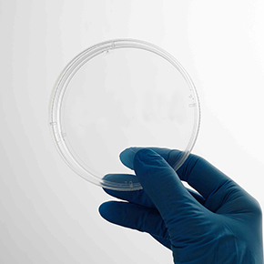 CellDETACH? 溫敏細(xì)胞培養(yǎng)器