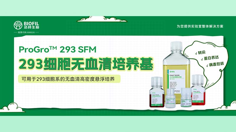 新品上線(xiàn) | 不會(huì)還有人養(yǎng)不好293細(xì)胞吧？！